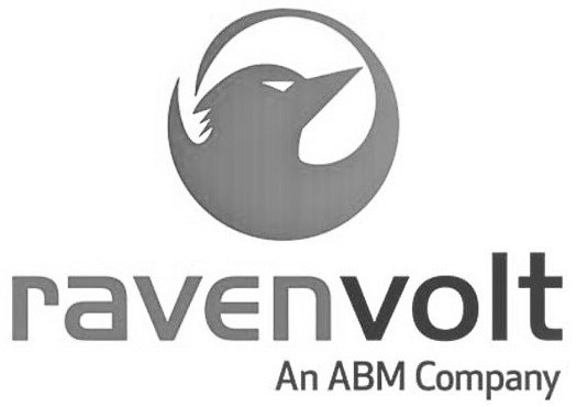 Implementation Transition Training - RavenVolt RavenVolt